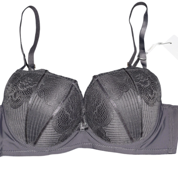 C-korv rinnahoidja hall ees paelad