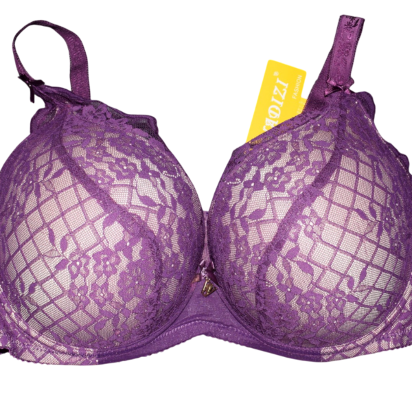 E-korv rinnahoidja lilla pits